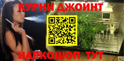 СК Краснодар