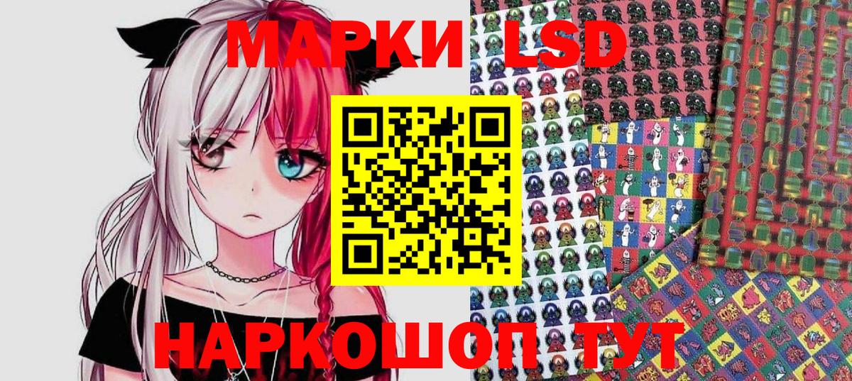 Губкинский  Марки NBOMe 1500мкг  Марки NBOMe 1500мкг  Вход с VPN 