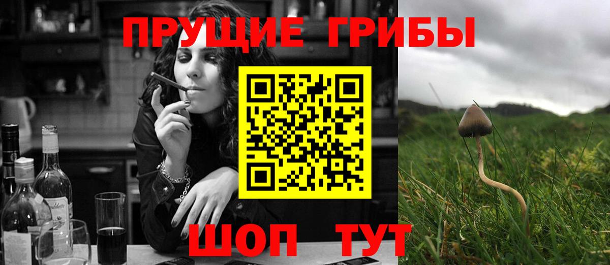 Псилоцибиновые грибы ЛСД Губкинский