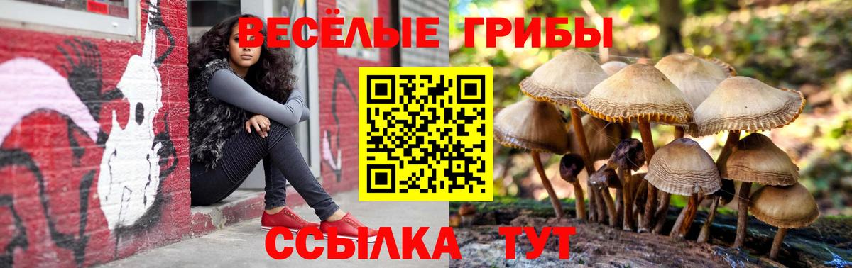 Псилоцибиновые грибы мицелий  Вход с VPN  Губкинский  Галлюциногенные грибы мицелий 